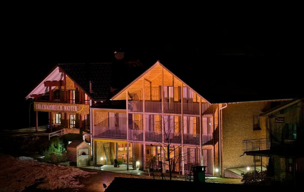 N Apartments Hotel Schoppernau Extérieur photo